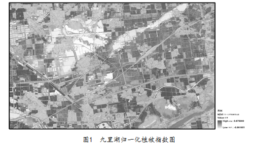 	采煤塌陷影响区生态修复关键技术